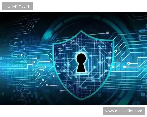 尊龙网址官方网站安全登录流程，保障您的账号信息安全与隐私保护